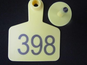 sell animal cattle ear tag,laser ear tag,cow ear tag,material SGS certificate supplier