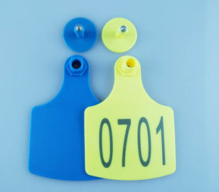 animal cattle ear tag certificate,laser ear tag,104*74mm,super large ear tag supplier