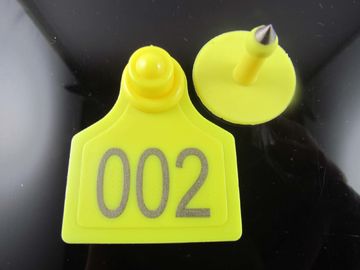 sell animal pig ear tag ,sheep ear tag,high51*with 43mm supplier