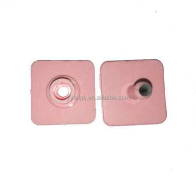 31*31mm square ICAR Animal ear tag custom printing pig use ear tag supplier