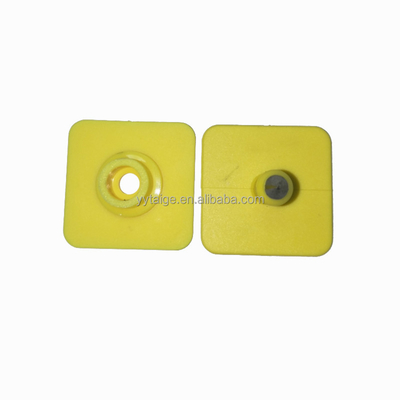 31*31mm square ICAR Animal ear tag custom printing pig use ear tag supplier