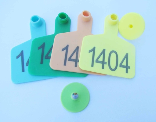 sell animal cattle ear tag,laser ear tag,cow ear tag,material SGS certificate,73x56mm supplier