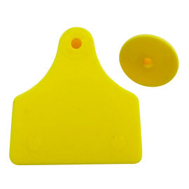 cow ear tags,65*60mm supplier