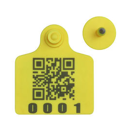 RFID cattle ear tag,UHF ear tag,barcode ear tag,cow ear tag,laser printing ear tag,80*70mm,plastic TPU,easy to tracking supplier