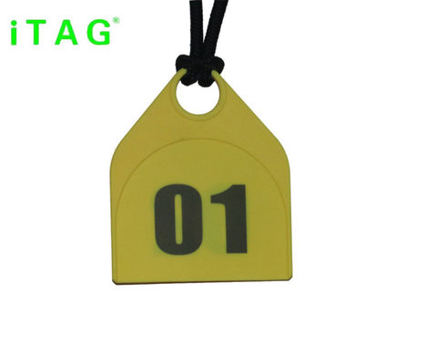 cattle/sheep/camel/ostrich/donkey/horse neck tag,animal neck tag,super large neck tag supplier