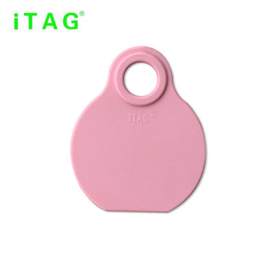 cattle neck tag,cow ear tag,cattle ID tag,with rope and lock，plastic TPU material,80*65mm,yellow,pink,light blue color supplier