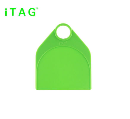 cattle/sheep/camel/ostrich/donkey/horse neck tag,animal neck tag,super large neck tag supplier